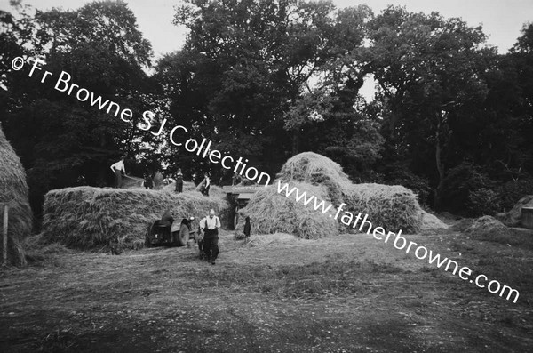 THRESHING AT ST MARYS